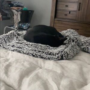 Meet your Posher, James